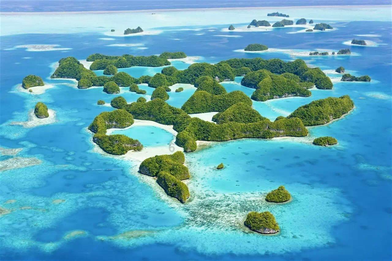 救援小肥兔