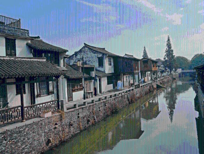 动物帮帮忙保卫家园